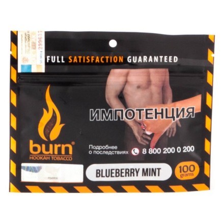 Табак Burn - Blueberry Mint (Черника с Мятой, 100 грамм) купить в Тюмени