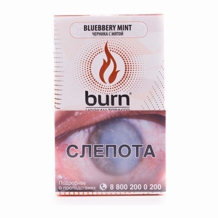 Табак Burn - Blueberry Mint (Черника с Мятой, 100 грамм) купить в Тюмени