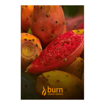 Табак Burn - Cactus (Кактус, 100 грамм) купить в Тюмени