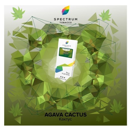 Табак Spectrum - Agava Cactus (Кактус, 25 грамм) купить в Тюмени