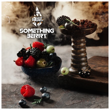 Табак BlackBurn - Something Berry (Что-то Ягодное, 100 грамм) купить в Тюмени