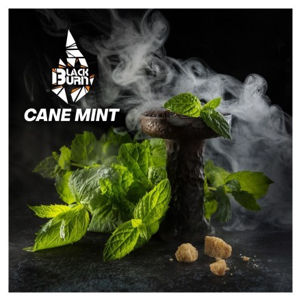 Табак BlackBurn - Cane Mint (Тростниковая Мята, 100 грамм) купить в Тюмени