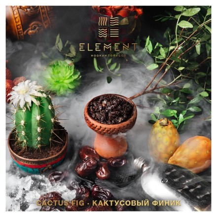 Табак Element Вода - Cactus Fig (Кактусовый финик, 100 грамм) купить в Тюмени