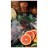 Табак Element Вода - Grapefruit &amp; Pomelo (Грейпфрут - Помело, 100 грамм) купить в Тюмени