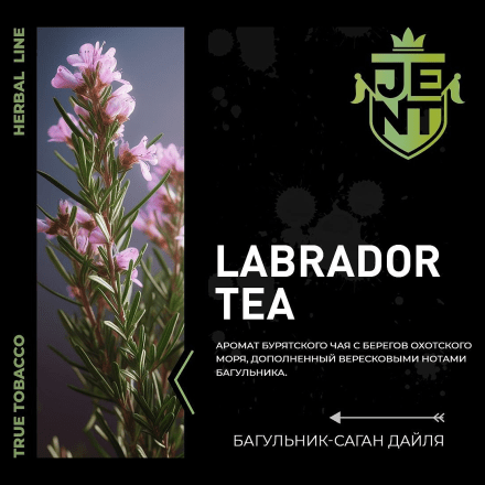 Табак Jent - Labrador Tea (Багульник и Саган Дайля, 100 грамм) купить в Тюмени