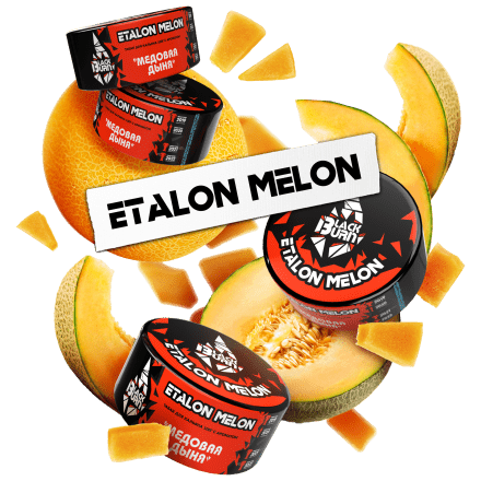 Табак BlackBurn - Etalon Melon (Медовая Дыня, 25 грамм) купить в Тюмени