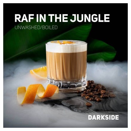 Табак DarkSide Core - RAF IN THE JUNGLE (Апельсиновый Раф, 100 грамм) купить в Тюмени
