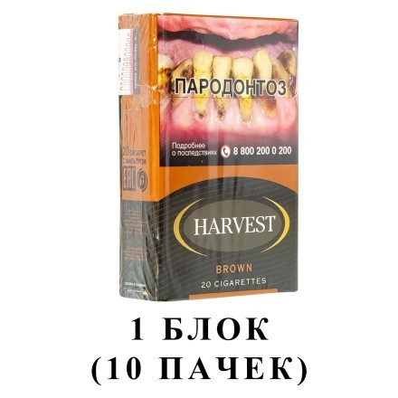 Сигареты Harvest - Brown King Size (блок 10 пачек) купить в Тюмени