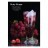 Табак Must Have - Ruby Grape (Рубиновый Виноград, 25 грамм) купить в Тюмени