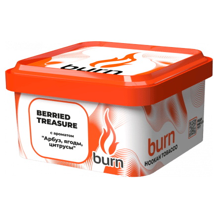 Табак Burn - Berried Treasure (Ягодный Микс, 200 грамм) купить в Тюмени